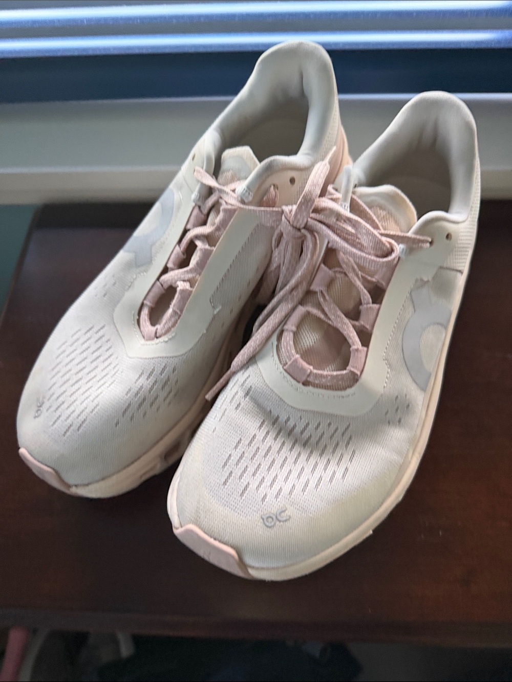 On Cloudmonster size 9